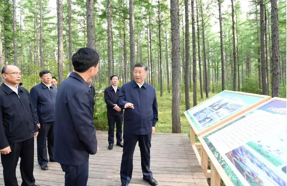 379fafb024efb6d02d6f9062d4c2e5b7.jpg 006.jpg